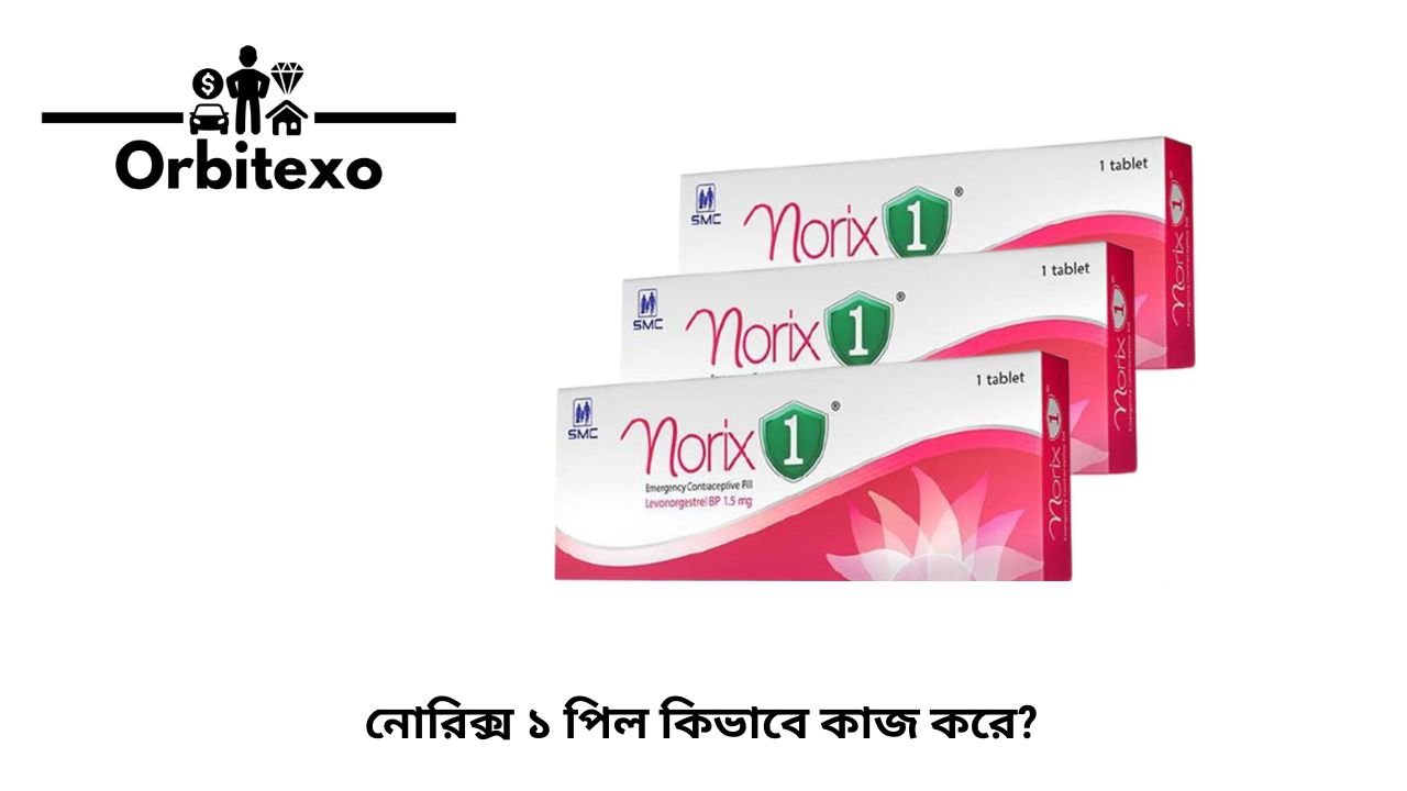 নোরিক্স ১ পিল কিভাবে কাজ করে?